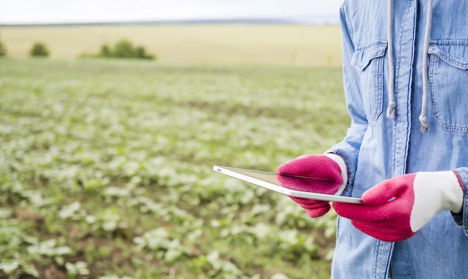 farm worker using an ipad to monitor crops